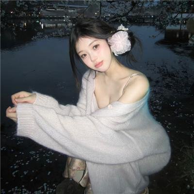 天兔座之夜